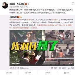 子臣被爆料出轨视频,一段婚姻的裂痕与反思