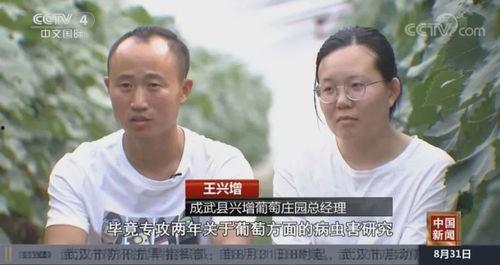 中国年轻人爆料新闻事件,中国年轻人视角下的热点新闻事件
