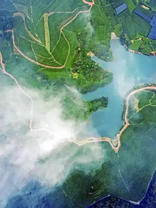 高原流美无码,探寻自然与人文的和谐画卷