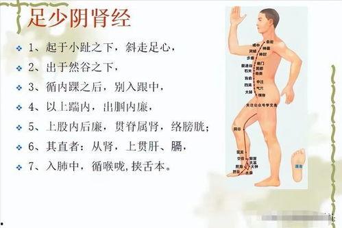 经络走向视频,探寻人体生命奥秘的神秘轨迹